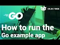 Running the Go example app with sync