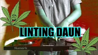 Download DJ LINTING DAUN SLOW BASS | MELAYANG LAYANG MP3