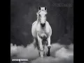 White Horse
