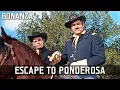 Download Lagu Bonanza - Escape to Ponderosa | Episode 25 | AMERICAN WESTERN SERIES | Full Episode