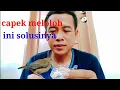 Download Lagu cara mudah melatih anakan emprit mau makan sendiri.
