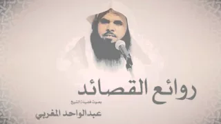 لا تأسفن على الدنيا   عبدالواحد المغربي دندنها
