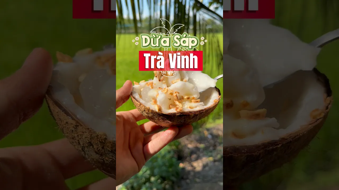Dừa sáp | Thanh Tiger