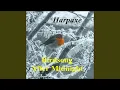 Download Lagu Burung Murai