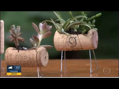 COMO REAPROVEITAR ROLHAS DE GARRAFAS PARA PLANTAR SUAS ORQUÍDEAS