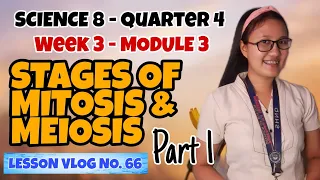 Stages of Mitosis and Meiosis (Module 3. Part 1) | SCIENCE 8