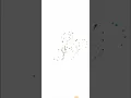 Python Turtle Project programming turtle graphics animation