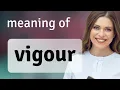 Vigour what is VIGOUR meaning