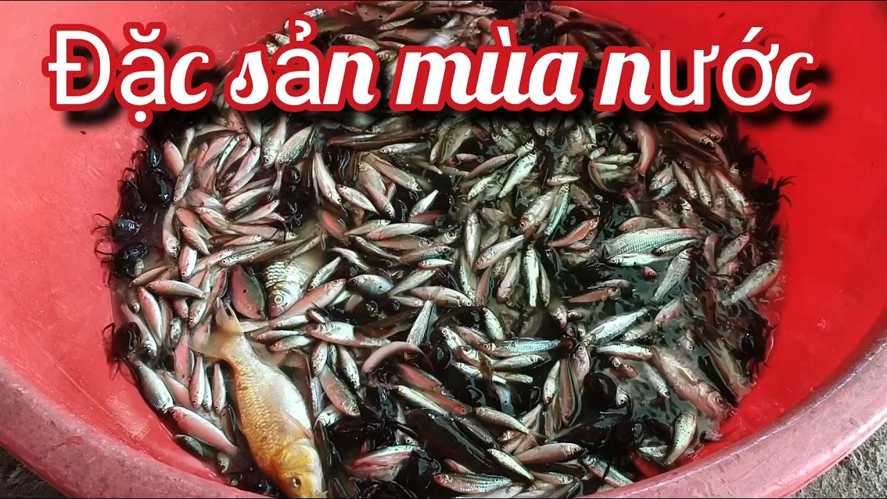 Đặc sản mùa nước nổi 16