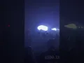 Norma Jean Encore 3/3/23. Nile Theater