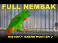 Download Lagu Burung Serindit Full Nembak Pancingan Emosi #serindit #birds #masteranburung #pancinganmuraibatu