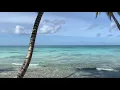 Download Lagu Марк Бернес, Журавли, Фортепьяно. Cranes, Mark Bernes. Piano. Beautiful music. Красивая музыка.