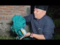 Download Lagu PENANGKAPAN TUYUL SECARA NYATA,DIKAMPUNG TUYUL