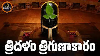 tridalam trigunakaram with telugu lyrics and meanings lord shiva powerful songs
