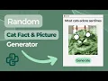 Random Cat Fact and Picture Generator Python Tutorial