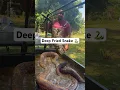 Download Lagu Deep fried snake 🐍🐍‼️‼️ #explore #foodblogger #food #foodie #fypage #fypシ゚ #explorepage #foryou