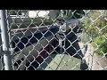 MBTA Commuter Rail Trains on the Greenbush Line