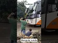 mengular sunda