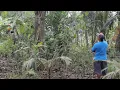 Download Lagu Pertama ajak @IsaYang123 ke sini - melihat hasil kerja jadi TKW di taiwan