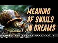 Download Lagu SNAIL DREAM MEANING: Biblical Meaning of Snails in Dreams | PICKING SNAILS in the Dream