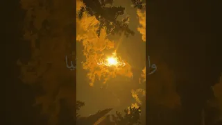 هحلم وحلمي مصدقاه Bac شيرين طب تحفيز 