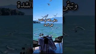 بنت الاصول 