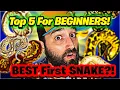 Top 5 BEGINNER Ball Python Morphs