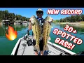 LAKE LANIER 30 SPOTTED BASS on TOPWATER FLUKES AWESOME ACTION SPRING FISHING