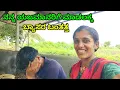 Download Lagu ನನ್ನ ಯಜಮಾನನಿಗೆ ಕೆಲಸ ಮಾಡಕ್ಕೆ ವ್ಯಾಸರ ಬಂತತ್ತ village lifestyle vlog #laxmibiruvlogs 