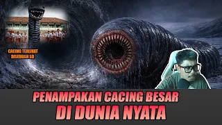 PENAMPAKAN CACING RAKSASA ALASKA DAN GURUN DI DUNIA NYATA - MITOS ATAU FAKTA