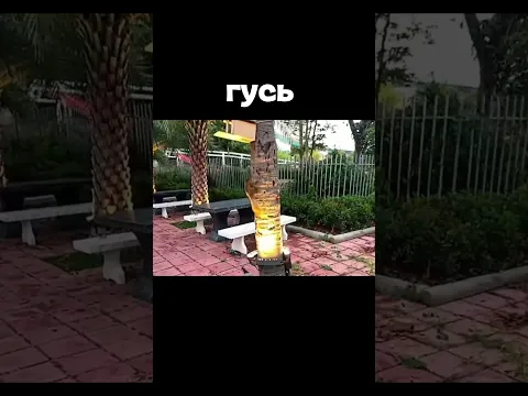 Мятная Фанта встретил ГУСЯ😂 Чтобы смотреть полный стрим жми выше👆🏻