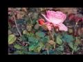 Gülru- Göksel Baktagir