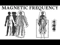 Lagu How to Enter the “Magnetic Frequency” So Desires Start Chasing You
