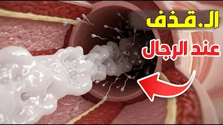 كيف يخرج السائل المنوي من جسم الرجل توضيح طبي 