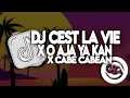 Download Lagu DJ CEST LA VIE X O AJA YAKAN X CABE CABEAN BY MAMAN FVNDY | VIRAL TIKTOK YANG KALIAN CARI