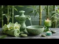Download Lagu LIVE Chinese Music for Meditation | 古筝、二胡、竹笛、古琴带你感受传统之美 🌻 早晨静心放松，感受古韵悠扬，品味中国风纯音乐的独特魅力
