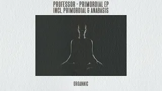professor primordial