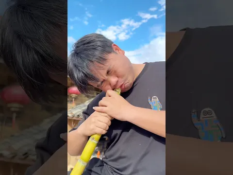 Ăn cây mía cũng không được bình thường