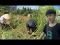 Download Lagu wonderful father built a dream bamboo house for his two children Lindo and Tu Vi with his own hands