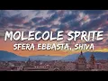Download Lagu SFERA EBBASTA \u0026 SHIVA - MOLECOLE SPRITE (Testo/Lyrics)