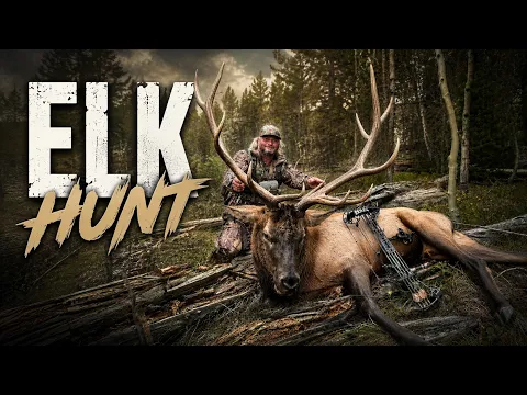 Elk Country Elk Hunting!