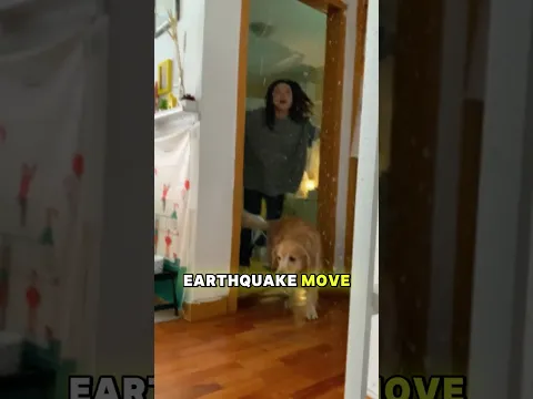 There’s an earthquake at benji’s place! 😱😨