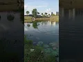 Download Lagu strike lagi #mancing #nature #fishing #angler #satisfying #music #dance #water #challenge