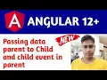 Angular 12 Component Intraction Angular 12 Input Output Passing Data From parent to Child