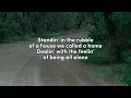 Flatland Cavalry - Never Comin’ Back (Lyrics)