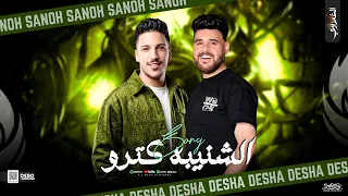 الشنبيه كترو   صعب تلاقي حد سالك   انا جيت من بعد الغيبه   ديشا الغمراوي   صانوه   منوعات حظ      دندنها