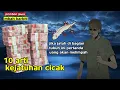 Lagu TAK SELALU BURUK ❗ INI 10 ARTI KEJATUHAN CICAK, JIKA JATUH DI BAGIAN INI UANG AKAN MELIMPAH