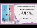 Lagu 【Chi/Eng/Pinyin Lyrics】 黄丽玲 (A-Lin) - 某种可能 (Some Kind of Possibility) | 《狙击蝴蝶 Sniper Butterfly》 OST
