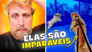 ELAS NÃO DERAM CHANCE! Treino Real de Proteção com Mãe e Filha Presa Canário