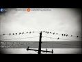 MUUI - Black Bird (Original Mix)